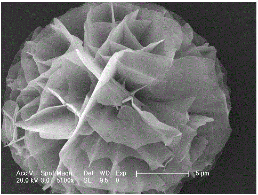 微米花状形貌的富勒烯衍生物薄膜的制备方法与流程