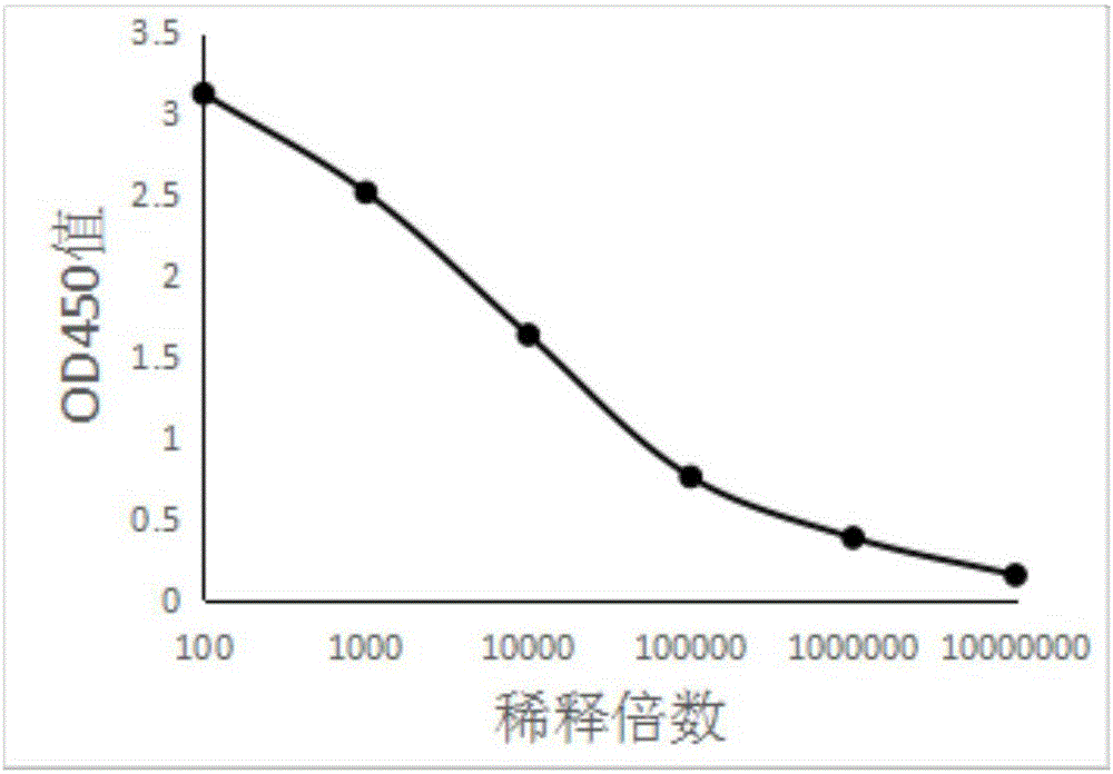 一种烟曲霉菌半乳甘露聚糖多克隆抗体的制备方法与流程