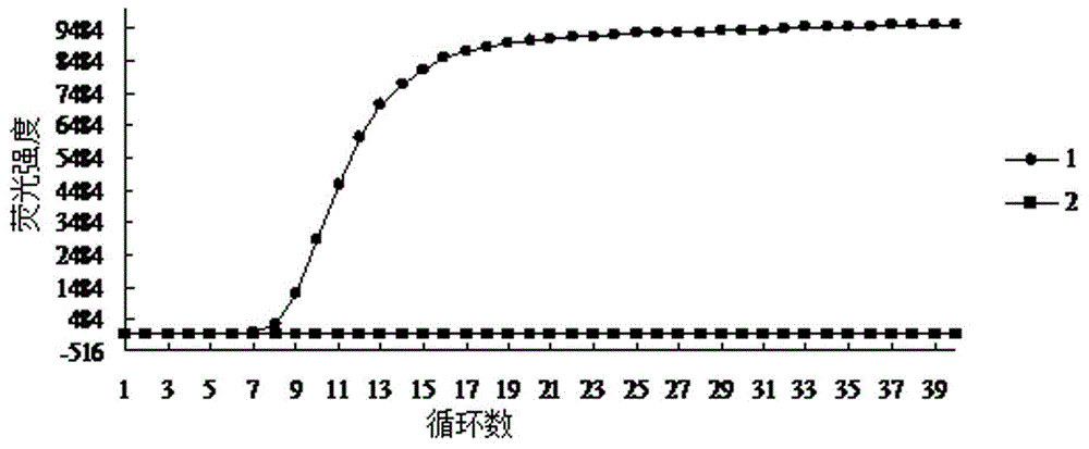 一种霍利斯格里蒙特氏菌的快速检测方法与流程