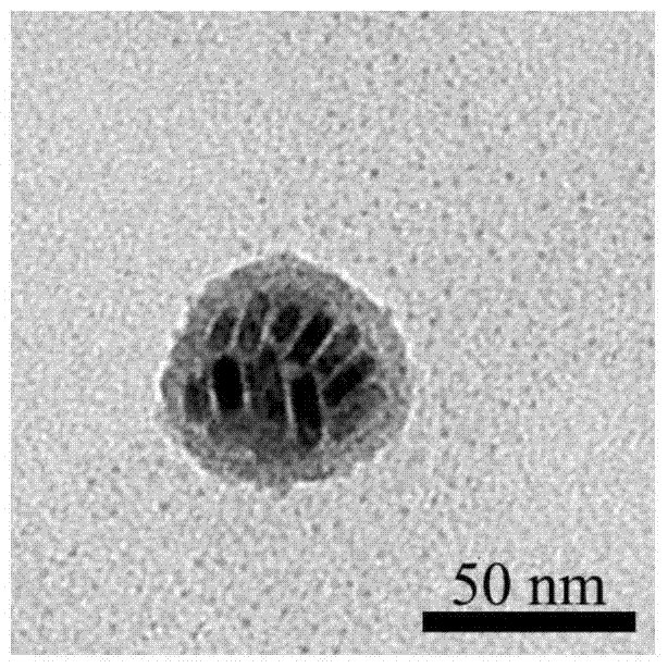 一种荧光载药光热多功能CuS纳米盘聚集体复合纳米胶囊的制备方法与流程