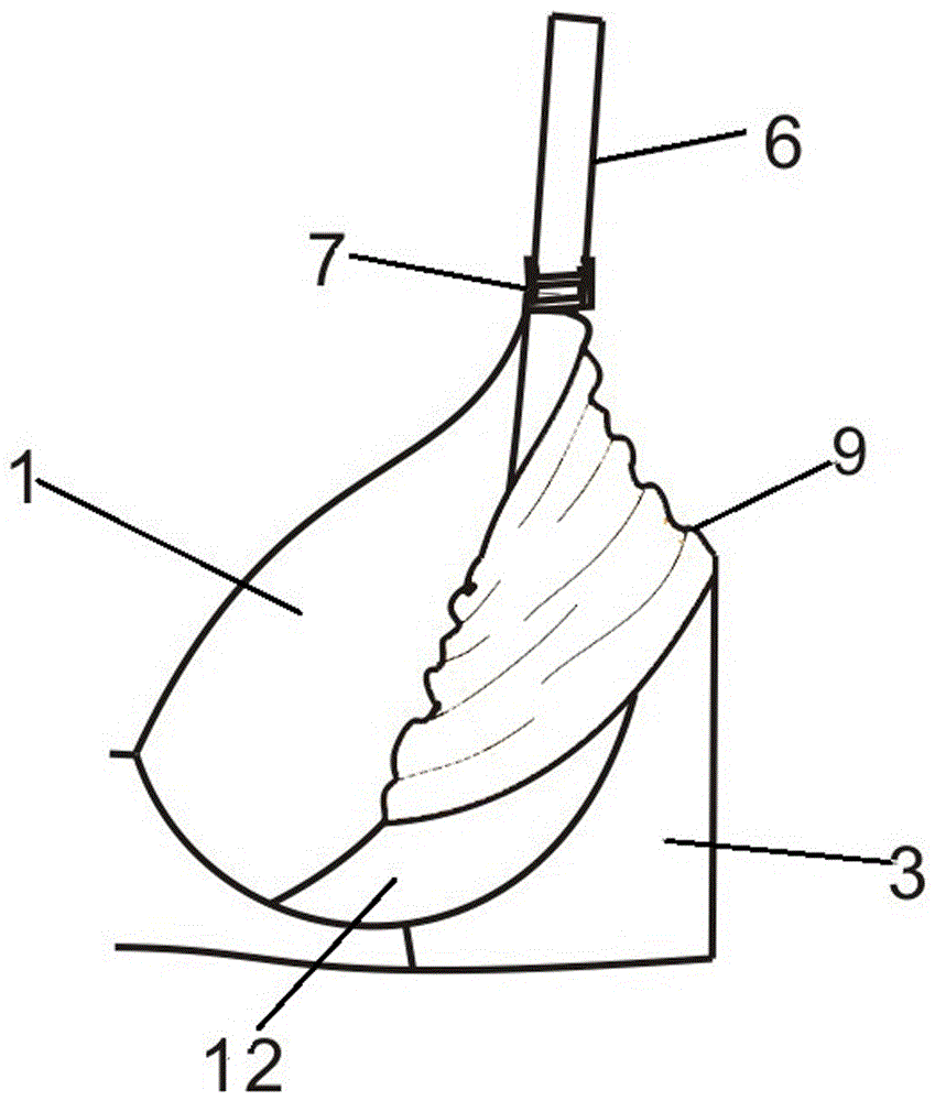 多功能一衣多变改进结构的文胸的制作方法