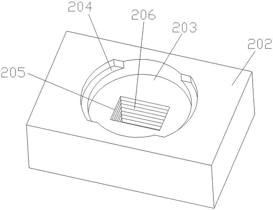 CCD生物芯片荧光扫描仪的消杂散光装置的制作方法