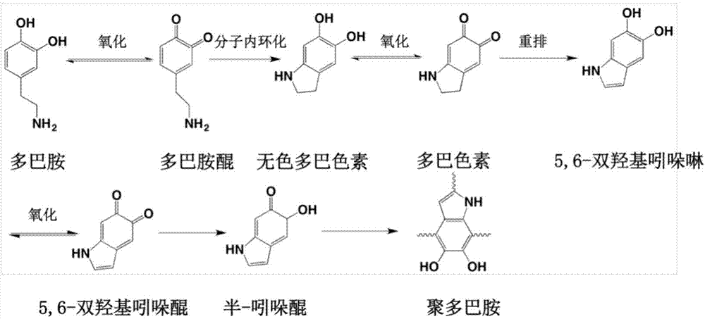 盐酸多巴胺聚合图片