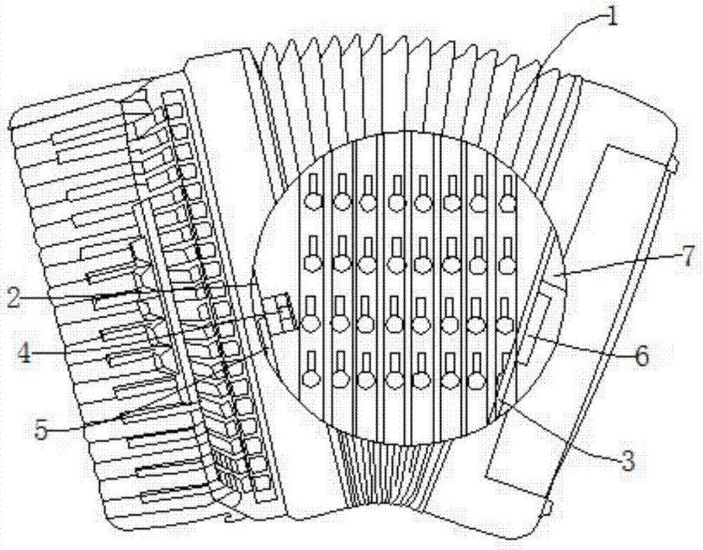 手风琴构造图介绍图片