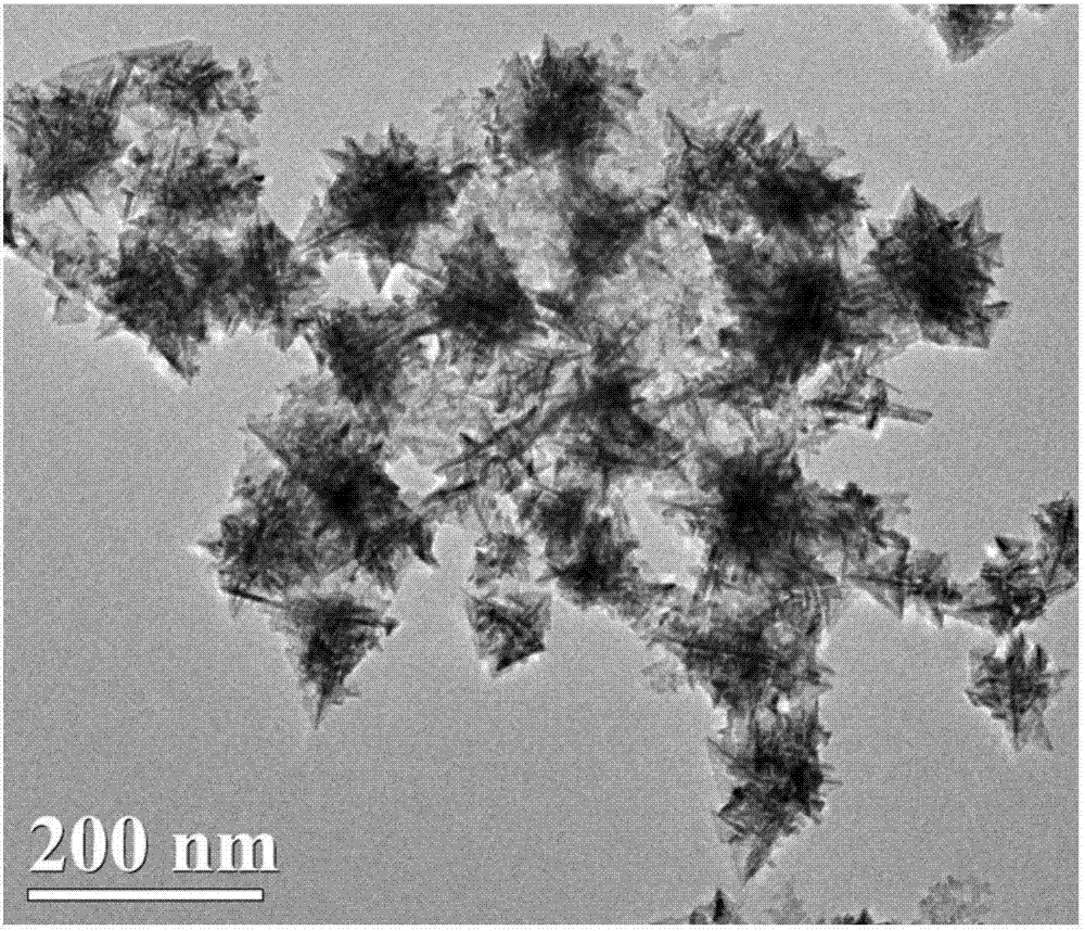 一种用于碱性直接甲醇燃料电池的Rh纳米花电催化剂的制备方法与流程