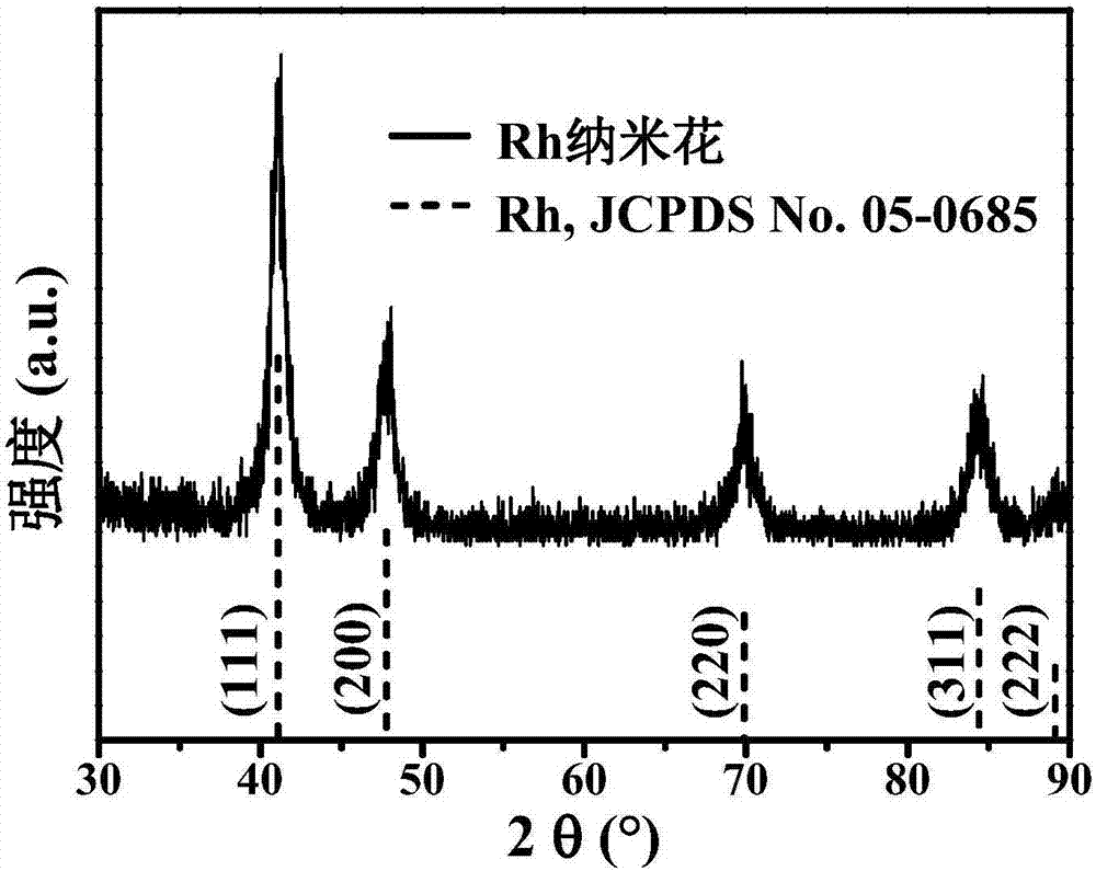 一种用于碱性直接甲醇燃料电池的Rh纳米花电催化剂的制备方法与流程