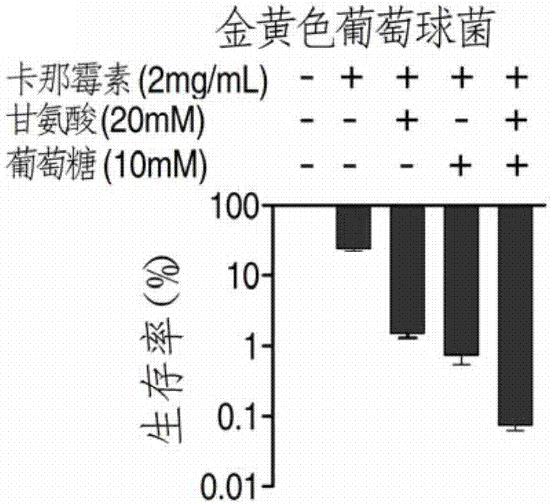 常規哺乳母豬用添加劑預混合飼料中存在使用抗生素作為飼料藥物添加劑