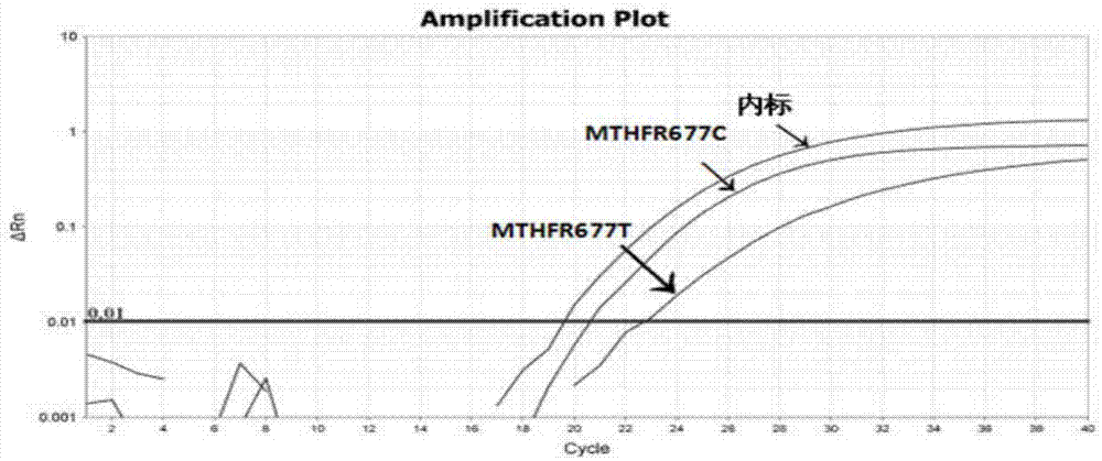 一种人MTHFR和MTRR基因多态性检测引物、探针、试剂盒及方法与流程