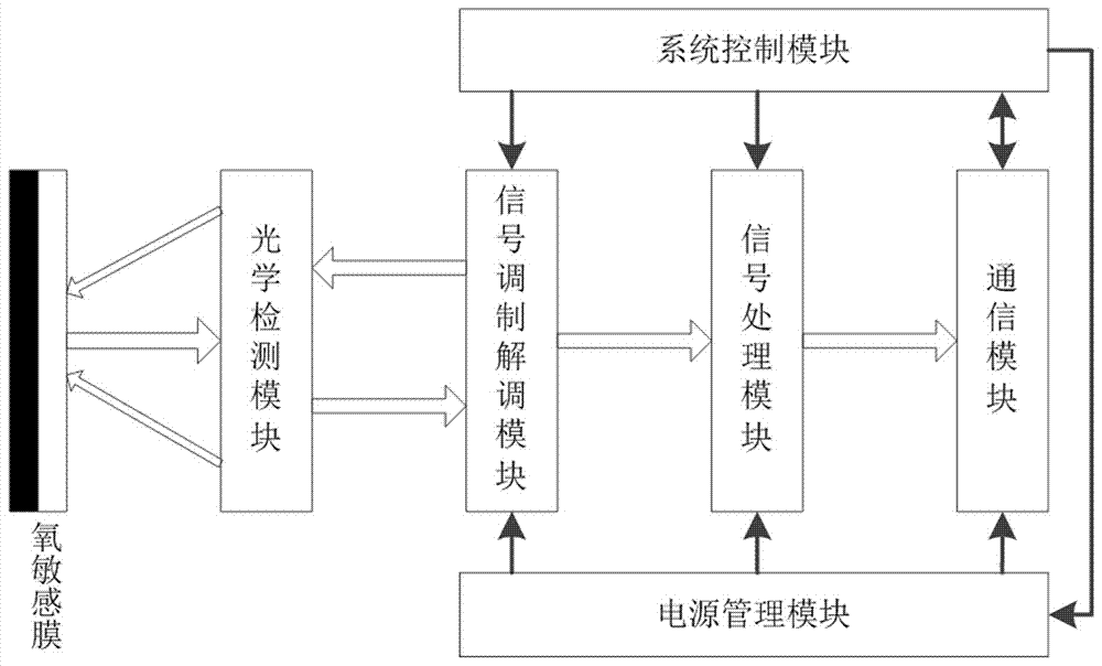 一种基于双通道锁相放大技术的溶解氧测量装置的制作方法