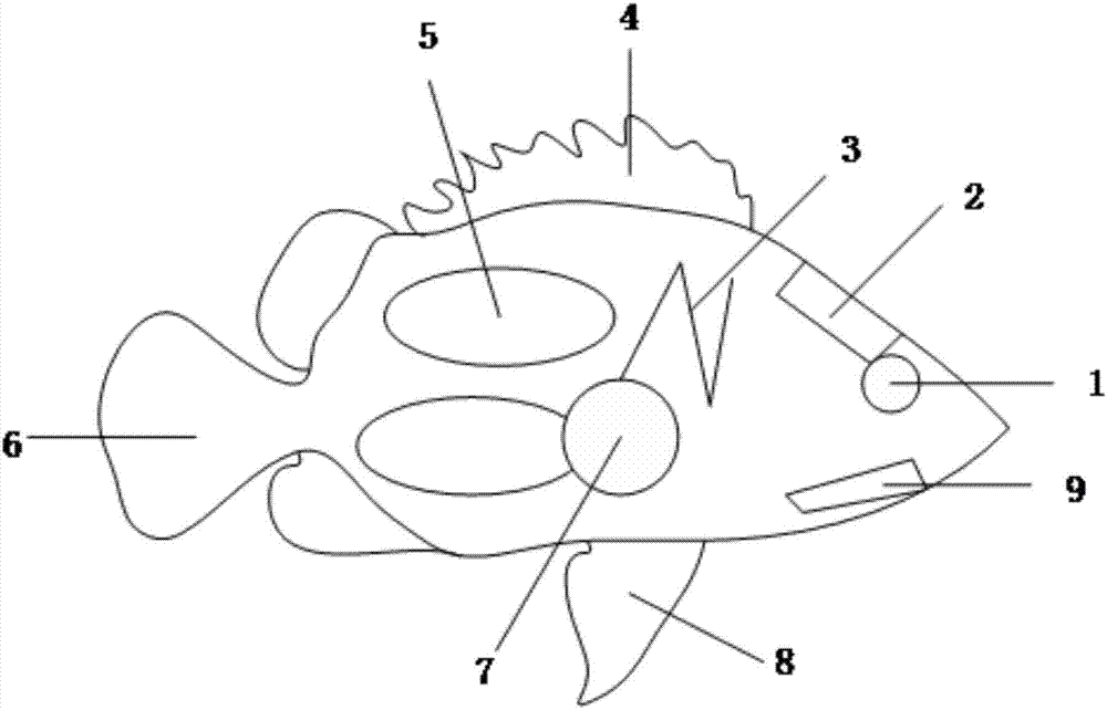 水下救助仿生机器鱼的制作方法