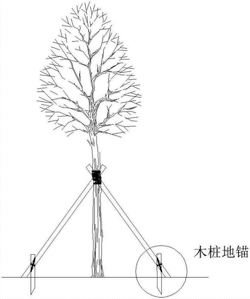 快速固定高大樹木木樁地錨的裝置的製作方法