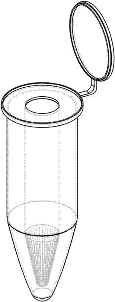 一种生精小管染色专用新型ep管的制作方法