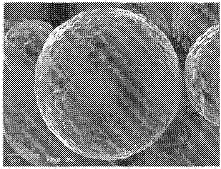 填料颗粒、树脂组合物、脂膏和涂料组合物的制作方法