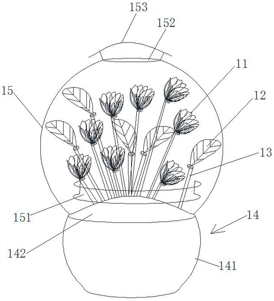 兼具空气净化功能的永生花束的制作方法