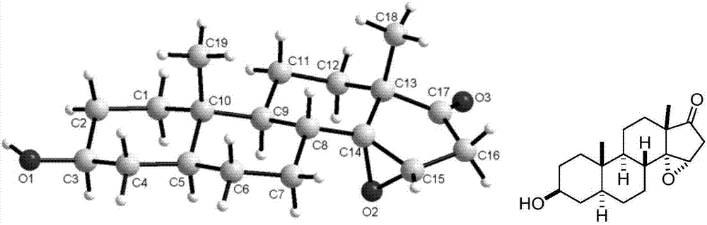 3β15α二羟基14β苯氨基或苄氨基雄甾17酮的制备方法与流程