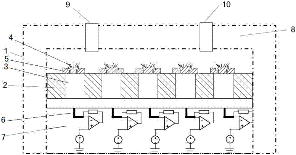 高通量纳米孔检测装置的制作方法