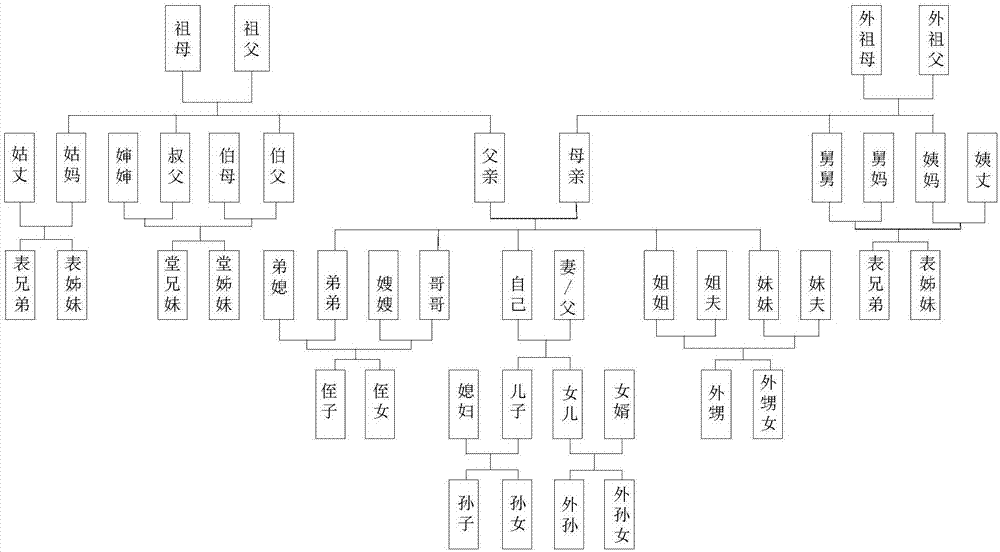 家族成员关系表图片