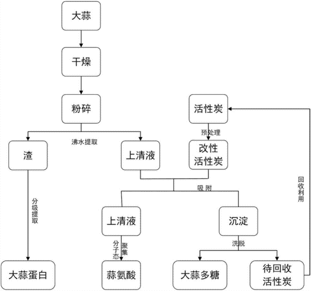 大蒜的简单思维导图图片