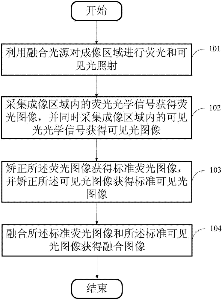 荧光实时成像、融合方法及装置与流程