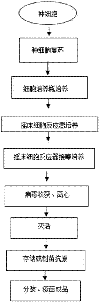 疫苗生产工艺流程图图片