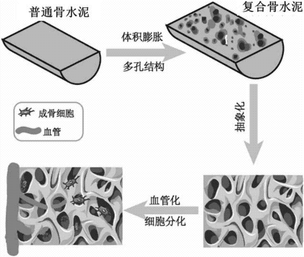 一种仿骨小梁结构的可注射膨胀复合骨水泥及其制备方法与流程