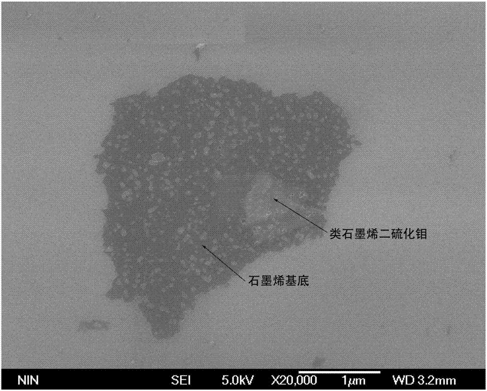 少層二硫化鉬以其獨特的層狀結構在潤滑劑,催化,能量存儲,光電材料