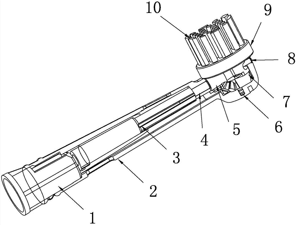 电动牙刷刷头结构图片