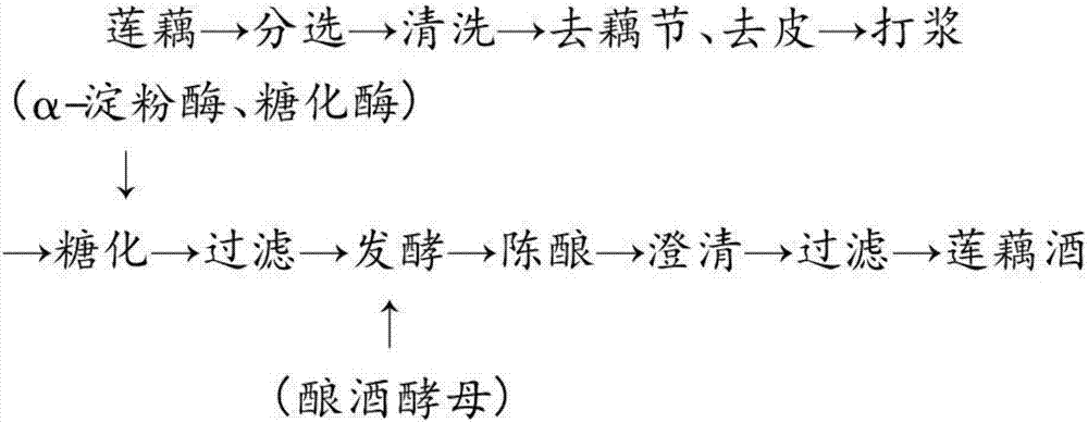 莲藕酒酿造工艺的制作方法