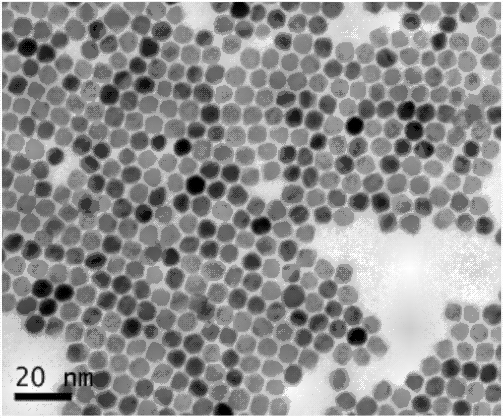 一种同时负载化学药物和纳米材料的外泌体的制备方法与流程