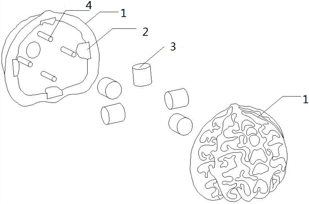 一种仿核桃结构磁力按摩球的制作方法