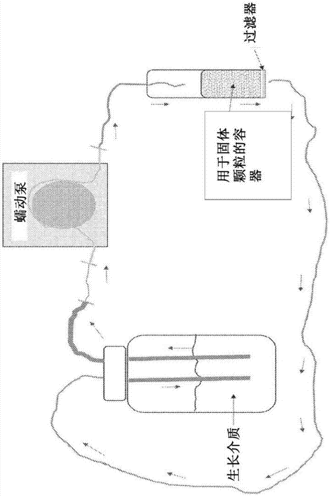 用于使益生菌在使细菌于肠道中定植用途的固体颗粒上生长成益生菌生物膜的系统和方法与流程