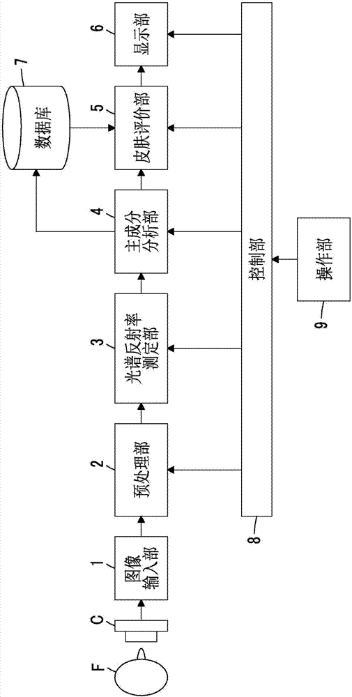 皮肤评价装置、皮肤评价方法及皮肤评价程序与流程