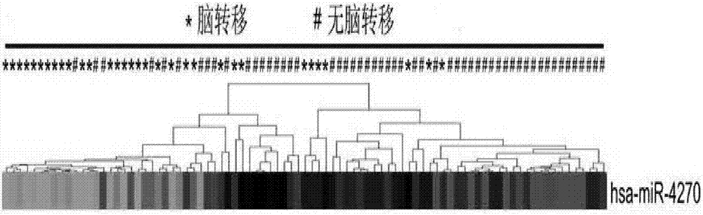 预测肺癌脑转移分子标记物miR-4270及在药物和诊断试剂盒中的应用的制作方法