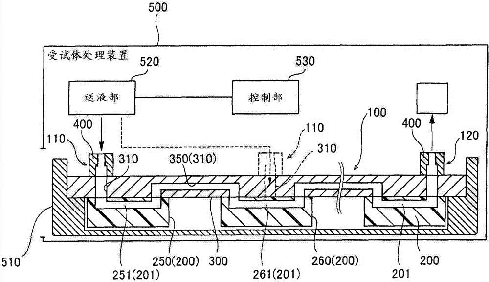 受试体处理芯片、受试体处理装置及受试体处理方法与流程