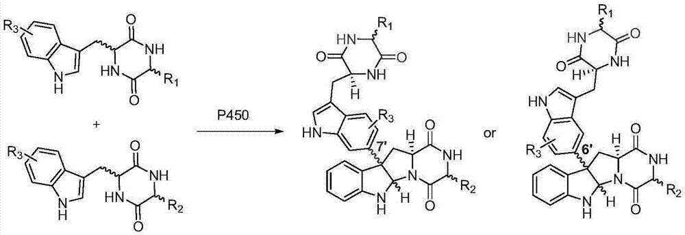 一种c3-芳香型吡咯并吲哚类生物碱及其合成方法与流程