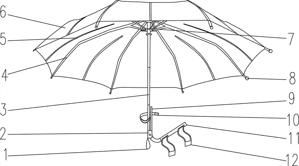 本发明涉及雨具领域,具体涉及一种便于整理使用的雨伞.