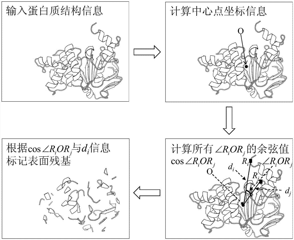 一種蛋白質表面殘基的快速確定方法與流程