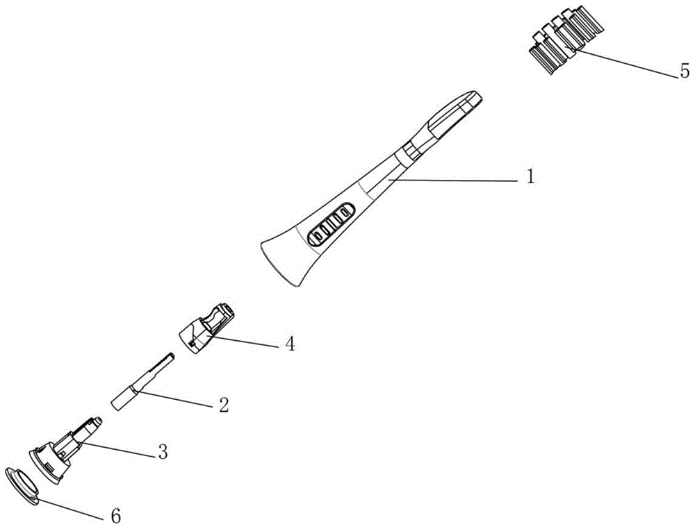 电动牙刷刷头结构图片