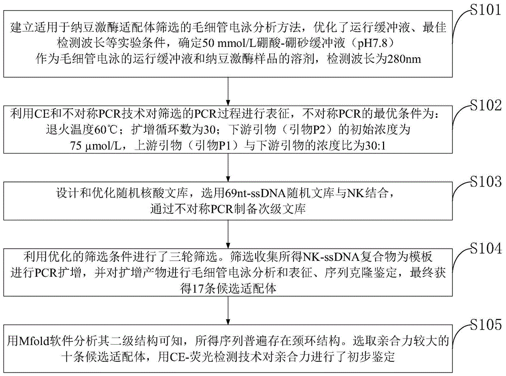 目前業內常用磁珠法篩選,需要將蛋白靶標固定到磁珠上,液相中的寡