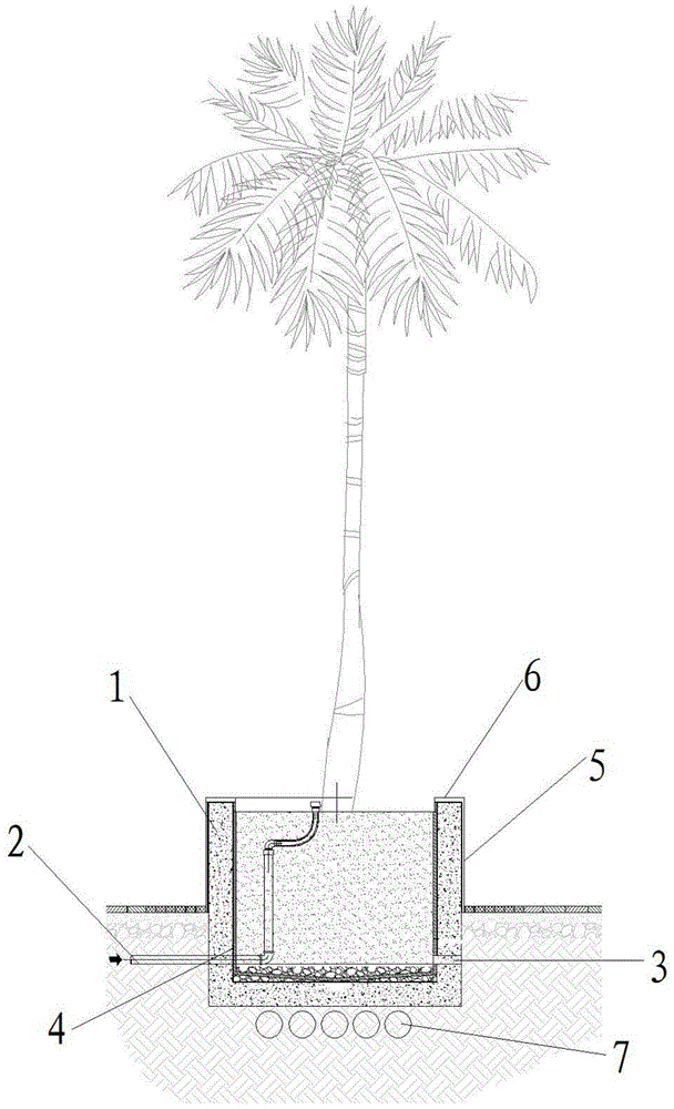 树池手绘图图片