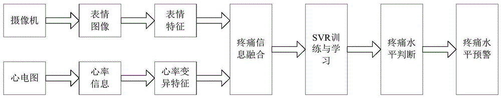 融合心率变异特征和面部表情特征的疼痛评估方法与流程