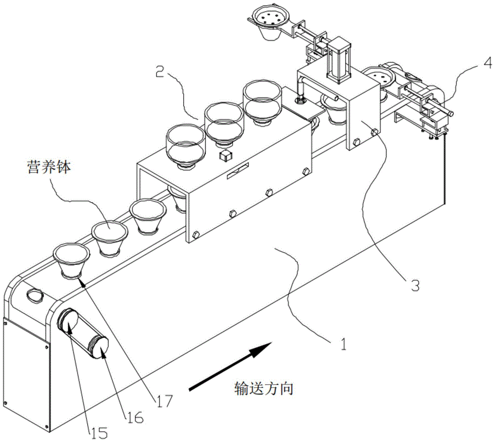 一种自动化的营养钵播种装填生产线的制作方法