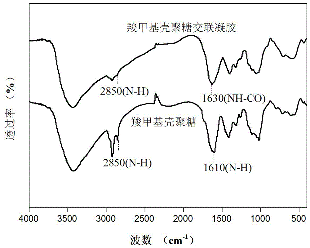 一种羧甲基壳聚糖交联凝胶的制作方法