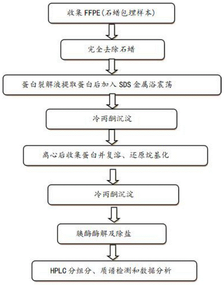 包埋法过程图片