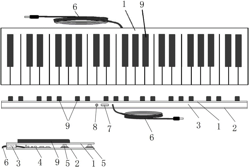 琴键结构图图片