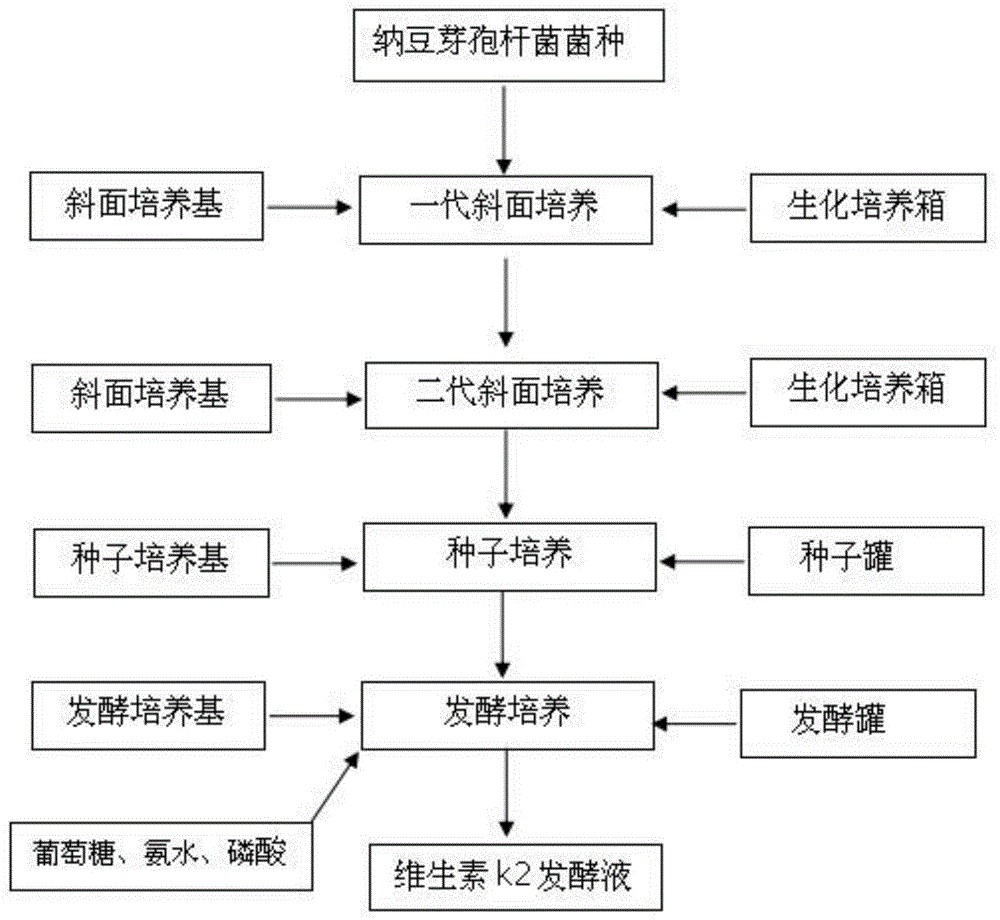 红霉素的研发人是谁 (红霉素的研发过程)