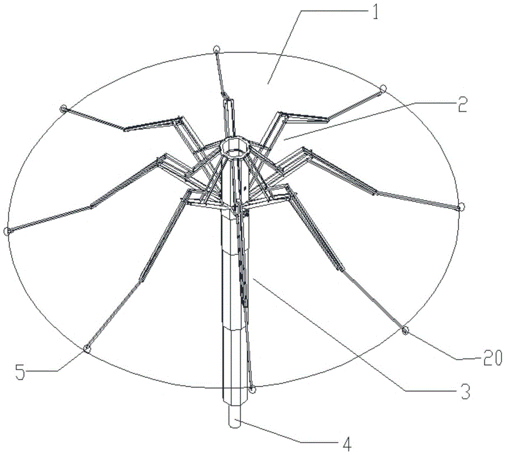 折叠伞内部结构图图片