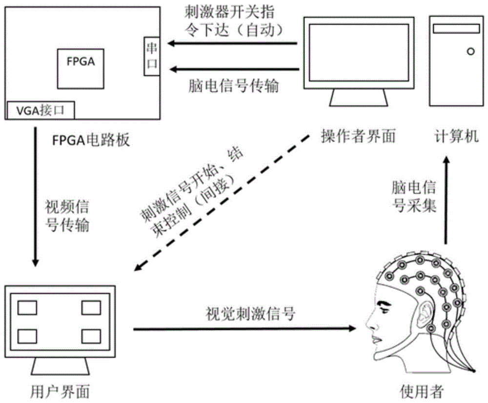 本发明涉及生物医学工程中神经工程及脑-机接口技术及电子信息工程的