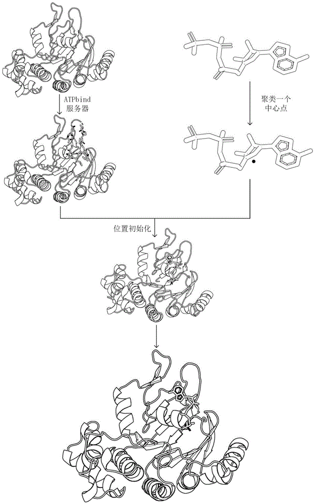 一種基於距離和角度信息的蛋白質atp對接方法與流程