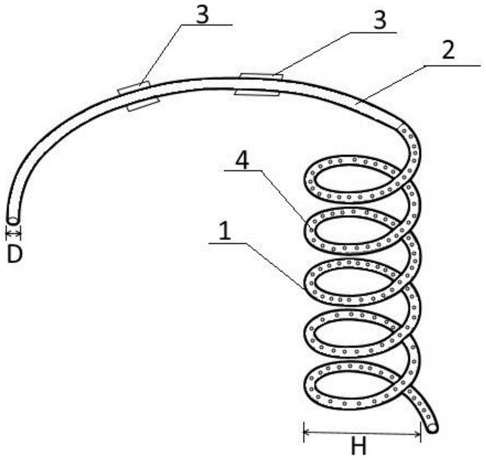环纹导管结构图图片